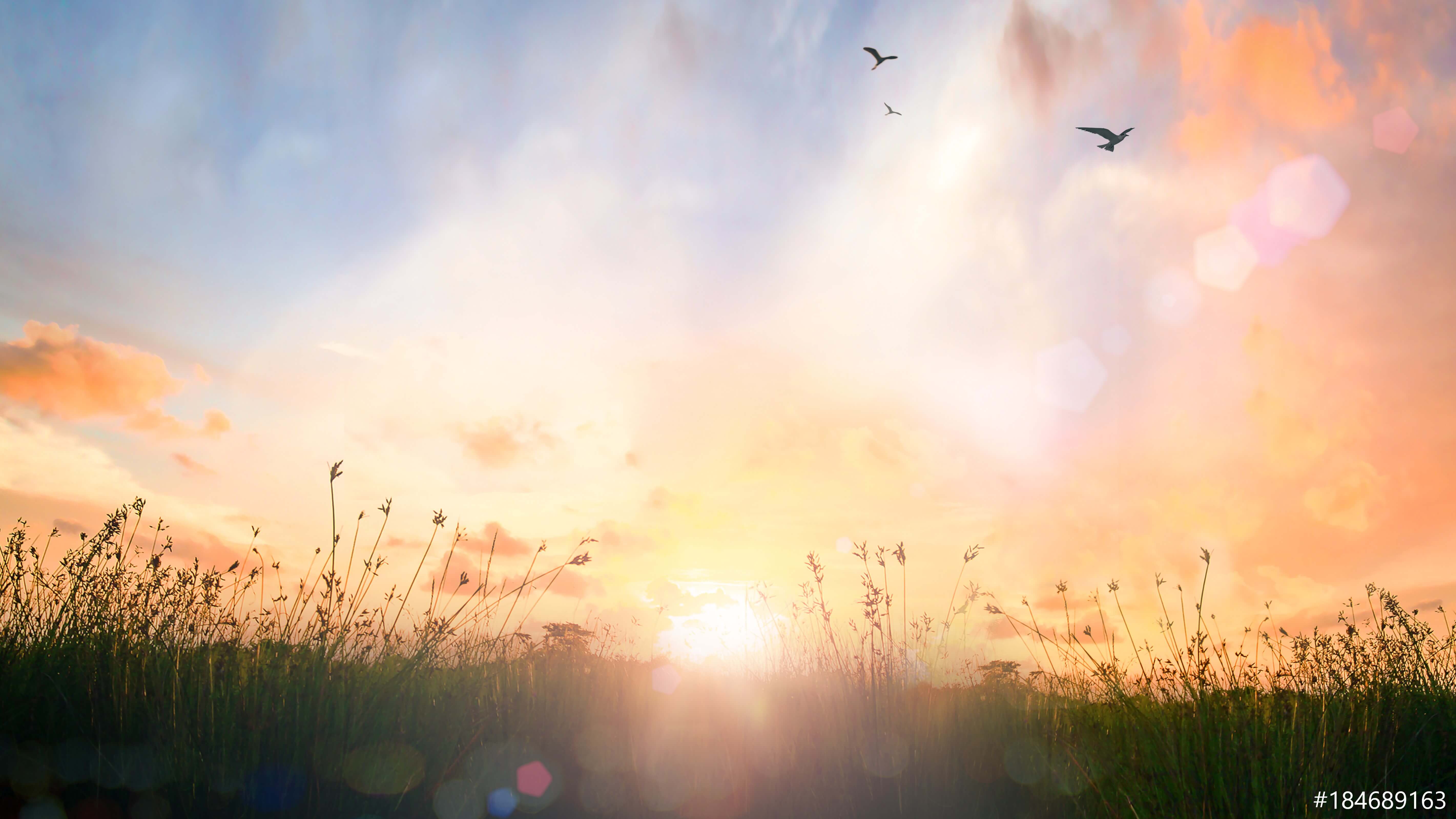 AdobeStock_184689163